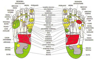 riflessologia mappa piede
